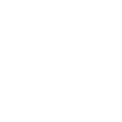 Czaja Feuerschalen® Edelstahl Feuerschale Bonn Ø 80 cm - mit Wasserablaufbohrung - aus rostfreiem, hitzebeständigem Edelstahl, Rostfreie Feuerschale für den Garten und Terrasse
