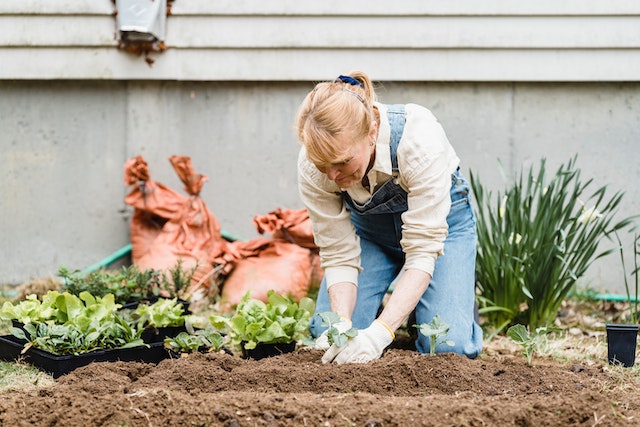 Die beste Zeit, um Ihren Garten auf Vordermann zu bringen