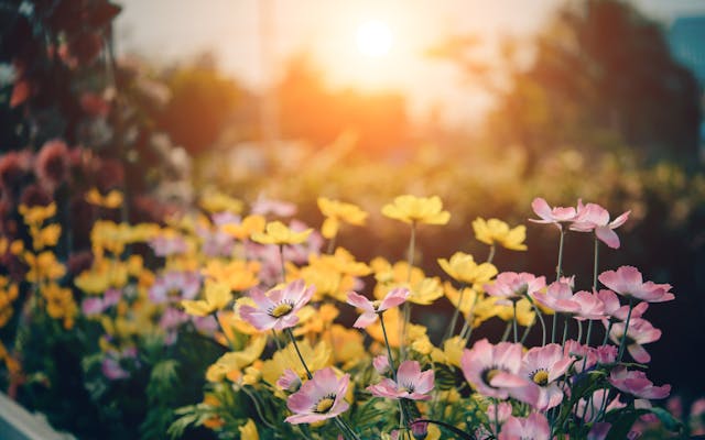 Gartendeko im Jahresverlauf: Saisonale Gestaltungsideen