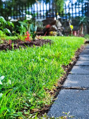 Die "Rasenkante": Ein unverzichtbares Element in Ihrem Garten