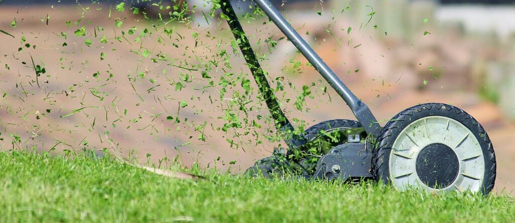 lawn mower, grass, cutting