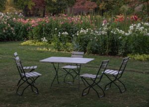 garden table, garden chair, garden, garden furniture, seat, seating arrangement, nature, to sit, relaxation, garden table, garden table, garden table, garden table, garden chair, garden, garden furniture, garden furniture, garden furniture, garden furniture, garden furniture