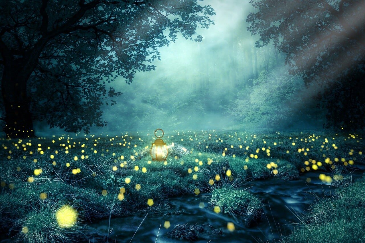 night, forest, glowworm, light, lantern, nature, tree, fog, nature wallpaper, night, forest, nature, nature, nature, nature, nature